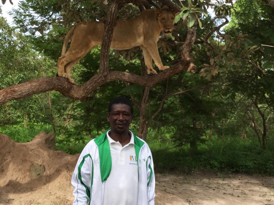 Images: Quand le ministre Mary Teuw Niane réussissait à dompter le roi de la forêt