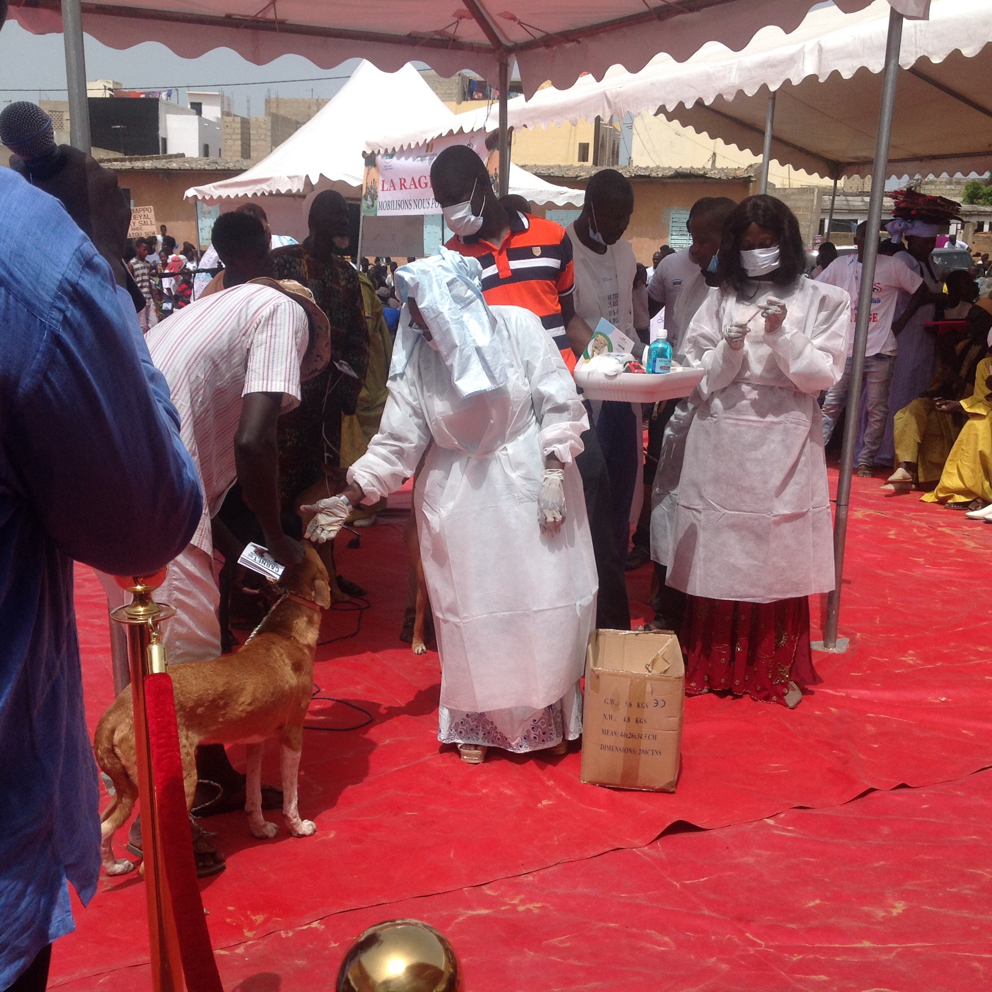 Journée mondiale contre la rage: Allocution de Mme Aminata MBENGUE NDIAYE, Ministre de l’Elevage et des Productions animales