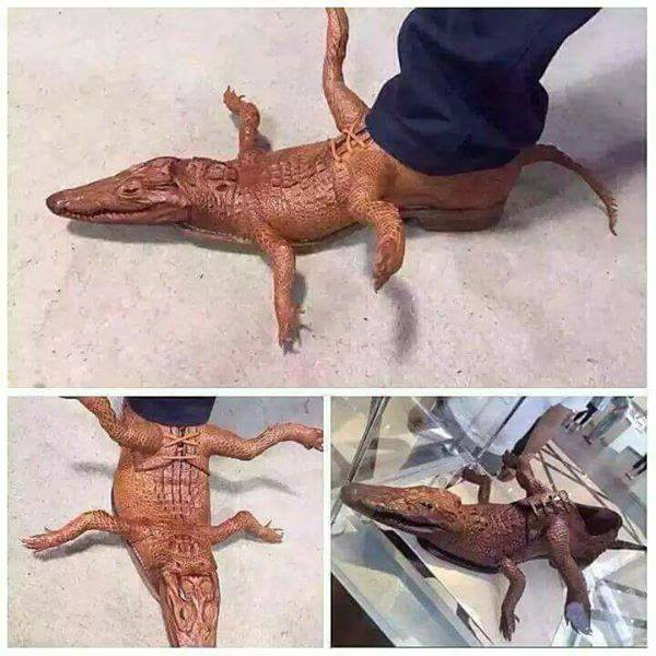 Insolite : regardez les chaussures croco originales, du jamais vu !