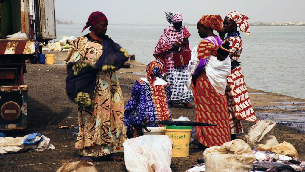 Fipa: Les «Mareyeurs» au Sénégal, moins de poissons, plus d’émigration