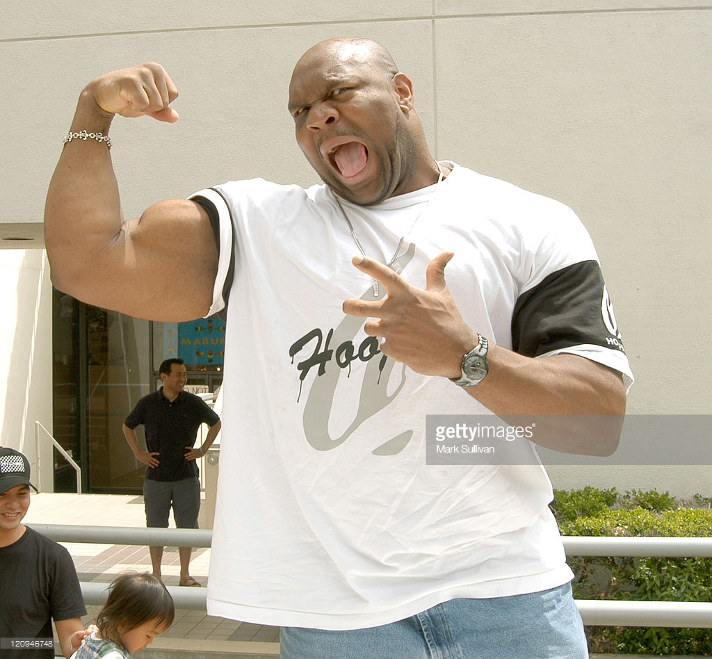 Bob Sapp Minotauro