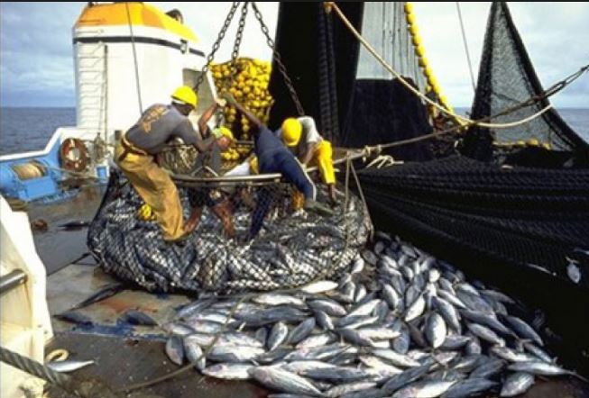 Accords de pêche : le Sénégal et la Mauritanie se rencontrent au mois de juillet