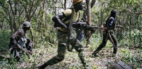 Casamance : 829 personnes tuées par des mines, 70 villages rayés de la carte