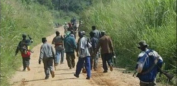 Incursion d’une bande armée dans le village de Kanéma près de Goudomp