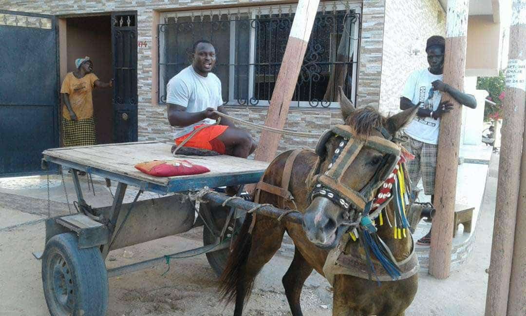 Photos : Modou Lô se rappelle de son passé de charretier 