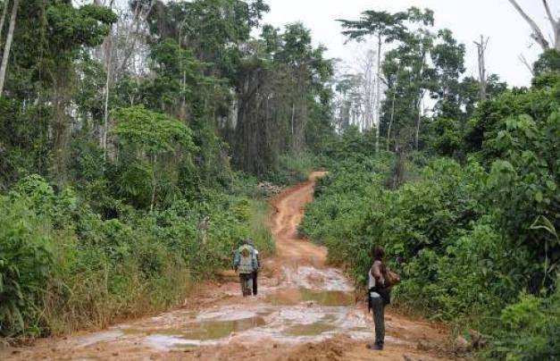 Des agents des Eaux et Forêts abattent un contrebandier