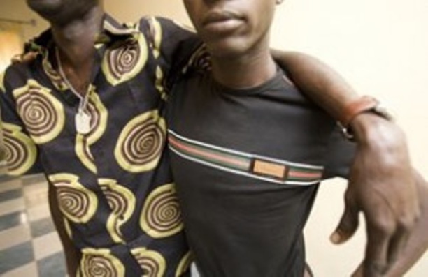 Ziguinchor : La bande d’homosexuels d’Ousmane Sonko, arrêtée et déférée au parquet