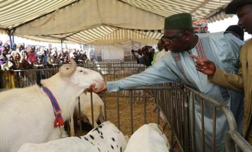 Tabaski 2020 célébrée dans la communion au Sénégal: la Commission nationale et la Coordination des musulmans retiennent le 31 juillet