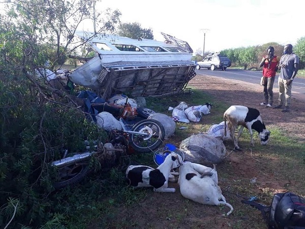 Grave accident à Louga: Un car Ndiaga Ndiaye se renverse faisant plusieurs blessés