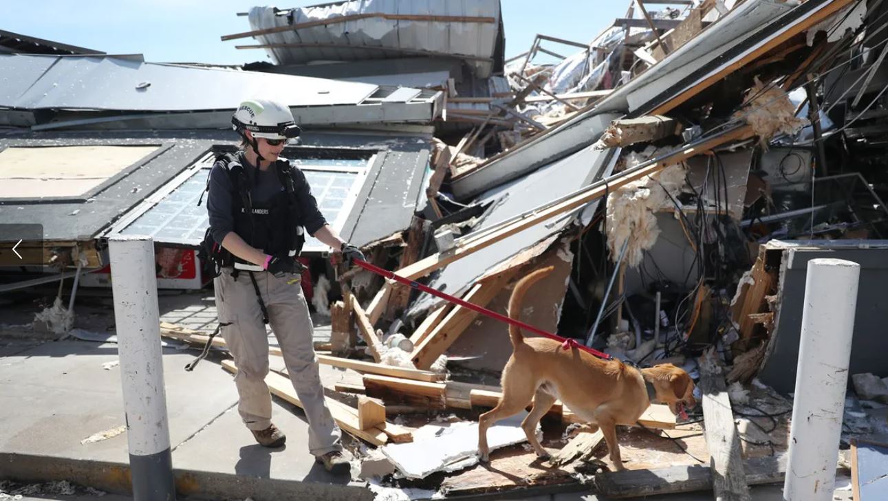 EN IMAGES - Ouragan Laura : des dégâts considérables mais moins que redoutés