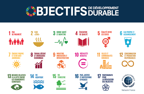 Objectifs de développement durable: De nombreux défis appelés à être relevés par les pays en développement (ENDA)