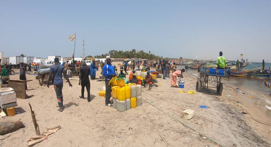 Djiffer, à la découverte du carrefour des pêcheurs