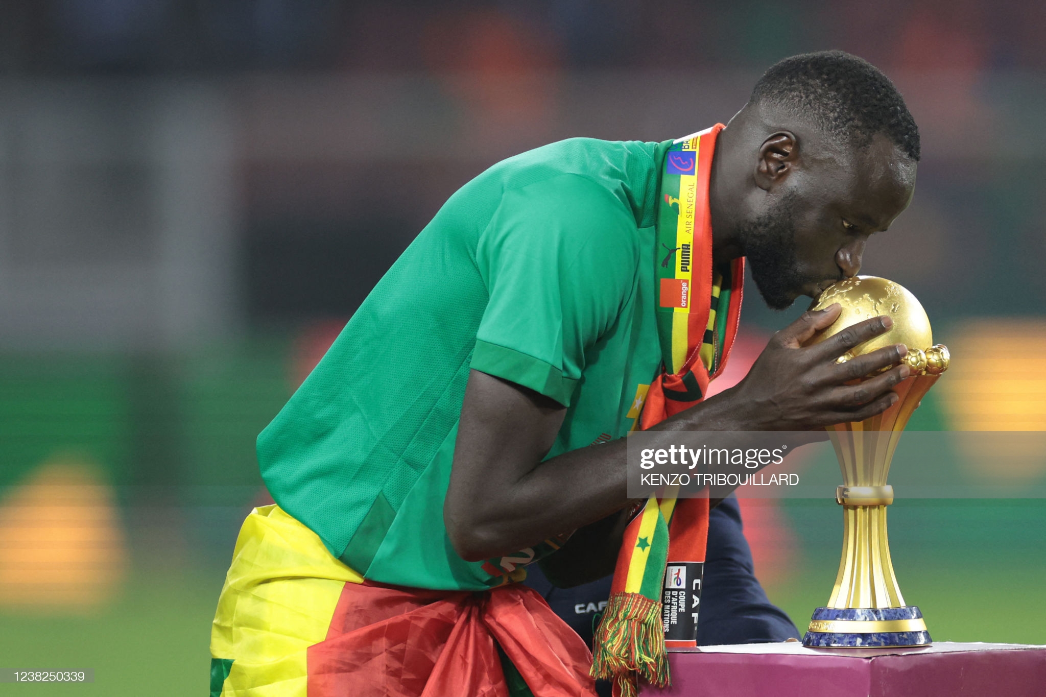 Finale CAN 2021: Le sacre des Lions en images