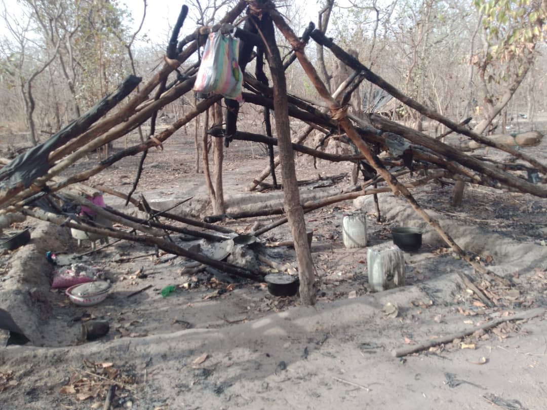 Casamance: L'incroyable saisie de l'Armée sur les bases rebelles. Regardez !