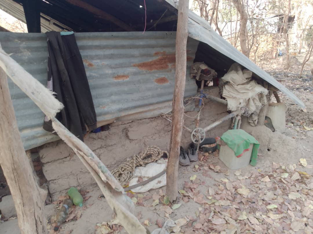 Casamance: L'incroyable saisie de l'Armée sur les bases rebelles. Regardez !