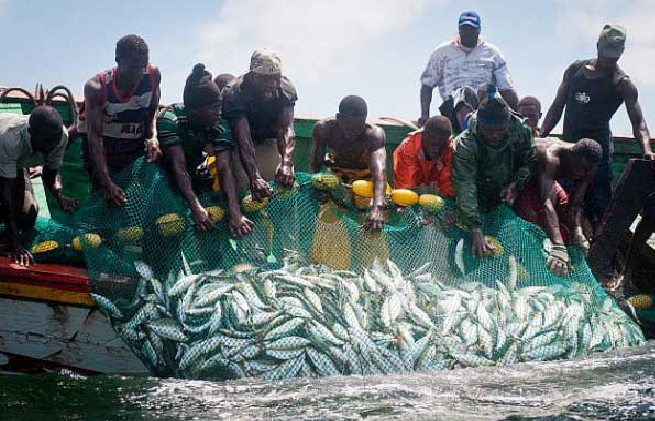 Pour soigner les maux de la pêche : L‘Unapas réclame des assises au Président Macky Sall