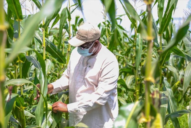 Souveraineté alimentaire:  Le développement de la recherche agricole, encouragé