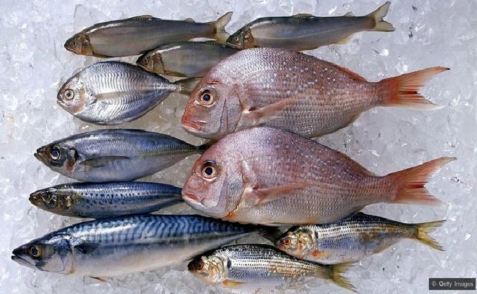 Rareté du poisson et hausse des prix : Un vrai poison d’avril pour les ménages !