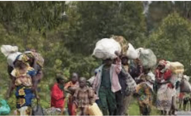 Appui des populations en Casamance : Djirack, le temps d’un retour définitif