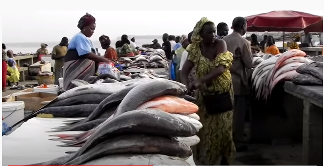 Thiès: La construction d’un nouveau marché aux poissons, lancée