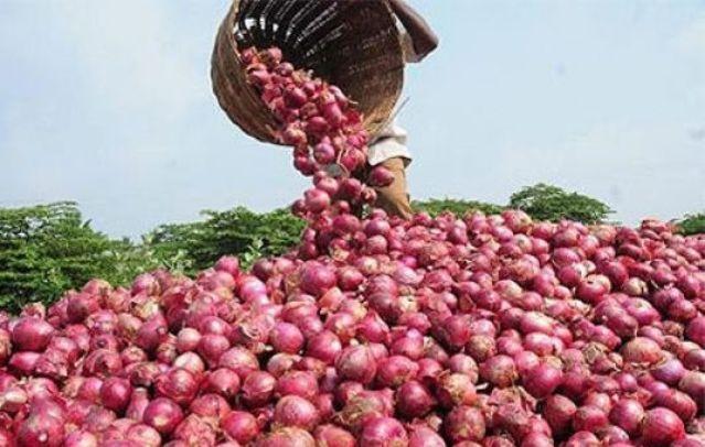 Prés de 1000 tonnes d'oignon stockées au marché d'intérêt national