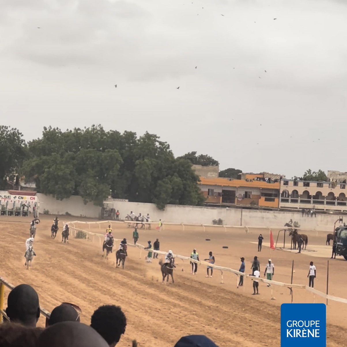 Sports équestres : "Major" de l’écurie « Réunie » remporte pour la deuxième année consécutive, le Grand Prix Kirène