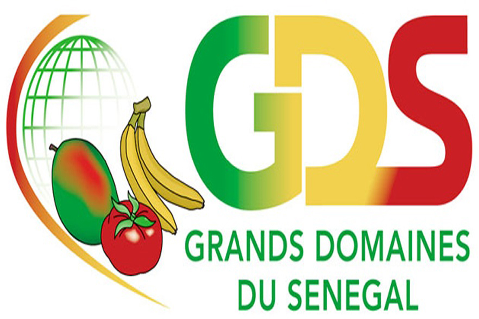 Grands domaines du Sénégal : un mouvement d’humeur des travailleurs