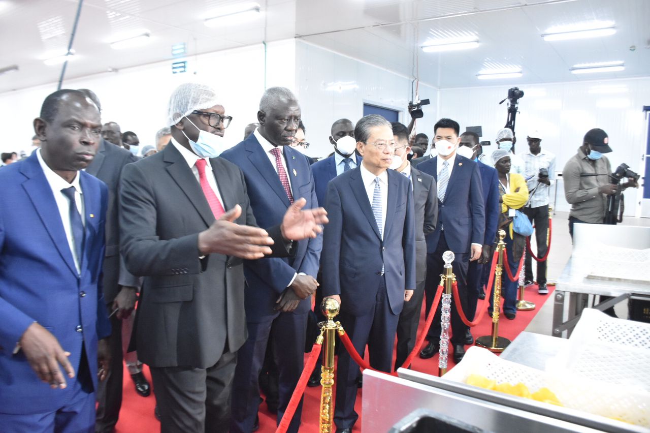 Photos : Visite du Parc industriel intégré de Diamniadio (P2ID) du président de l’Assemblée nationale du Sénégal, Amadou Mame Diouf et son hôte chinois, Président Zhao Léji