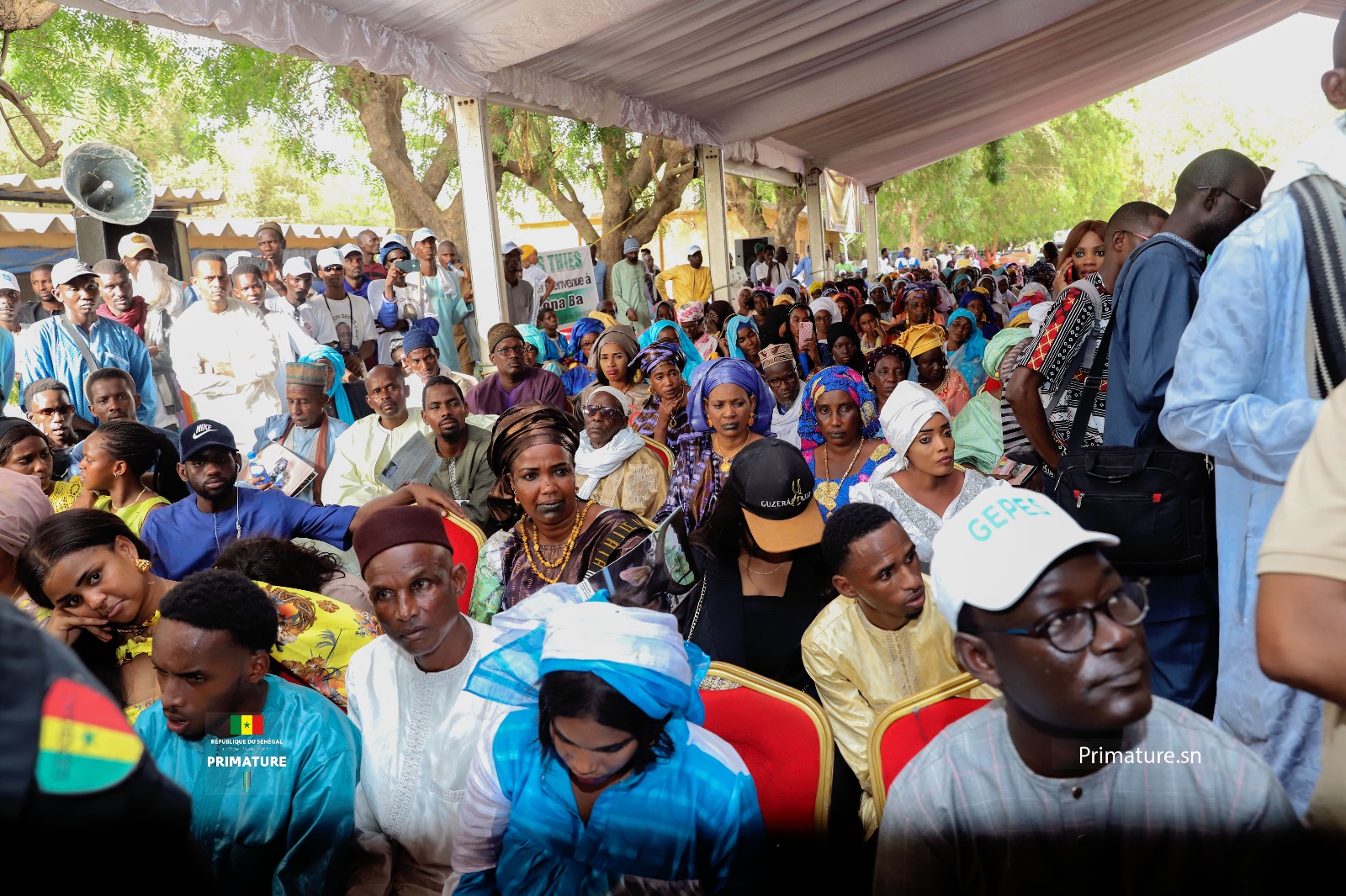 Photos/ Thiès: Amadou Ba, Premier Ministre, Ministre de l’Elevage à la réception de Taurillons « Guzera »