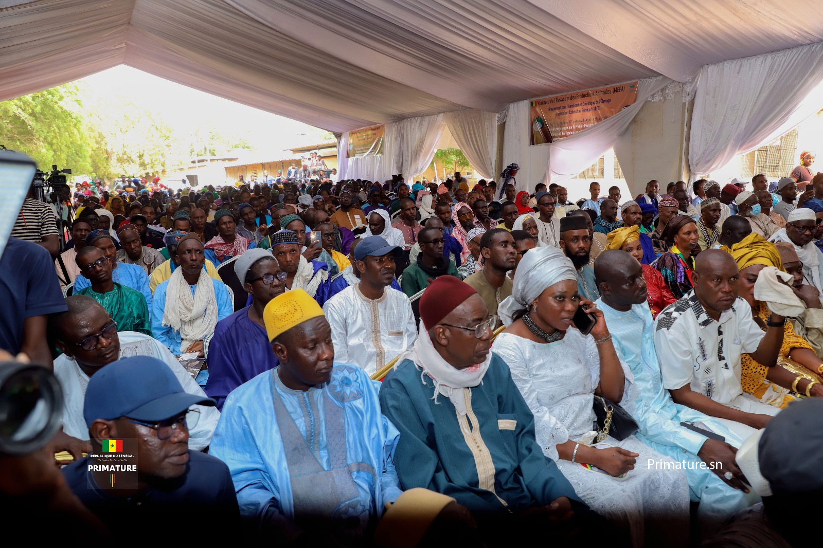 Photos/ Thiès: Amadou Ba, Premier Ministre, Ministre de l’Elevage à la réception de Taurillons « Guzera »