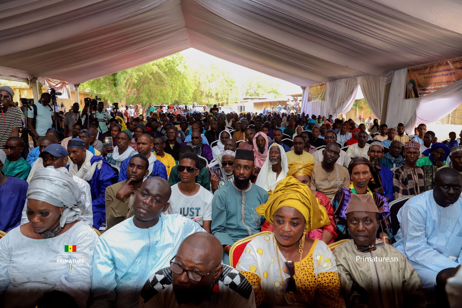 Photos/ Thiès: Amadou Ba, Premier Ministre, Ministre de l’Elevage à la réception de Taurillons « Guzera »