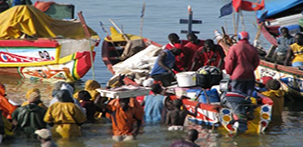 Secteur de la pêche:  L'union nationale des pêcheurs artisanaux du Sénégal veut une réorganisation