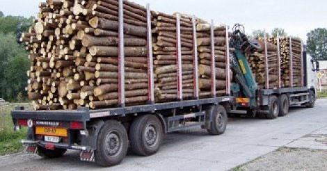 4 Guinéens arrêtés à Kédougou pour trafic de bois