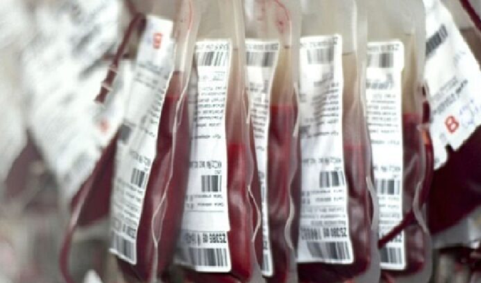 Manque de sang à l’hôpital régional :  Alerte rouge à Kolda
