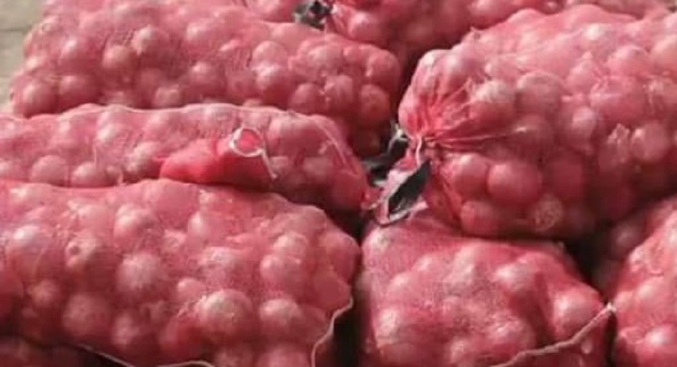 Commerce : L’Etat gèle les importations d’oignons à partir de ce 15 février