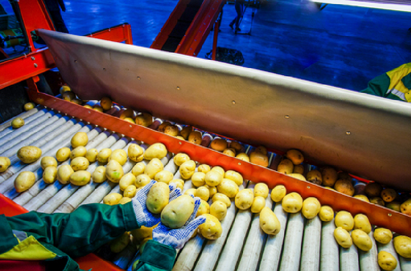 Kolda, Vélingara et Diaobe : Aliou Mamadou Dia y promet l'implantation d'une usine de transformation des fruits