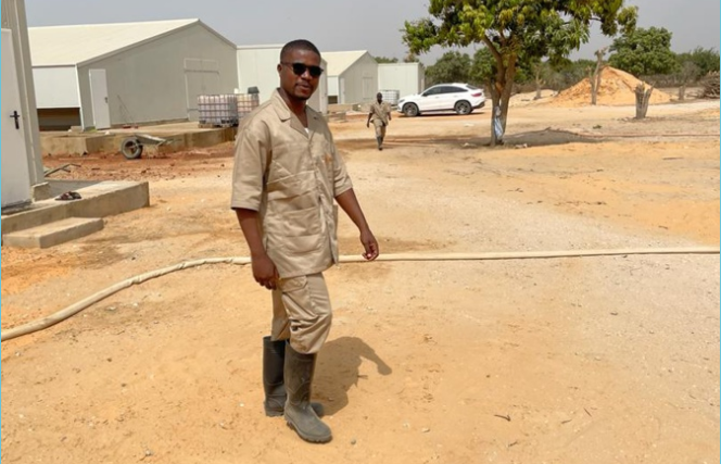 Jeune Entrepreneur Sénégalais: Serigne Amar, un exemple pour la jeunesse, révolutionne la Filière Avicole