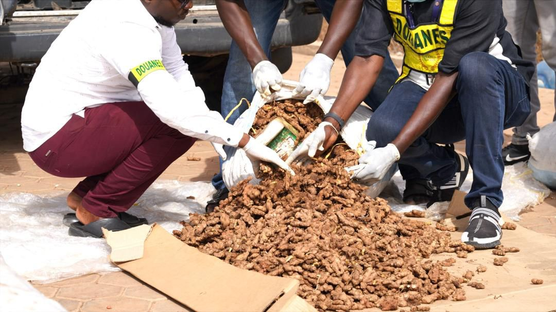 Saisie inédite à l’AIBD : un individu de nationalité maghrébine tombe avec son lot de 20 kg de cocaïne estimé à 1,6 milliard  FCFA