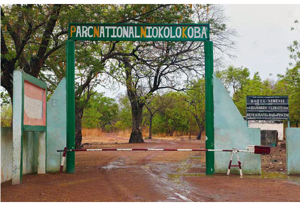 L’UNESCO retire le parc Niokolo Koba de la liste du patrimoine mondial en péril