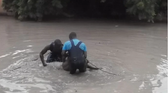 Ziguinchor: Deux enfants retrouvés morts dans les rizières de Boutoute