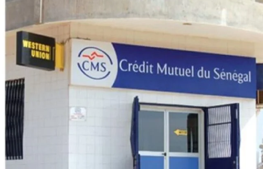 Parfum de scandale au Crédit mutuel du Sénégal : Ces cafards qui ressortent des investigations de nos confrères