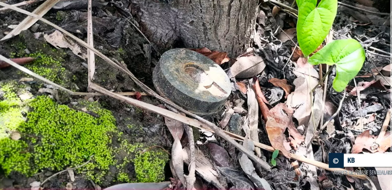 Ziguinchor/Découverte d’une mine antipersonnel à Katouré dans le Nyassia