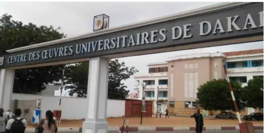 Respect des lois et gouvernance universitaire : Le SAES montre sa détermination