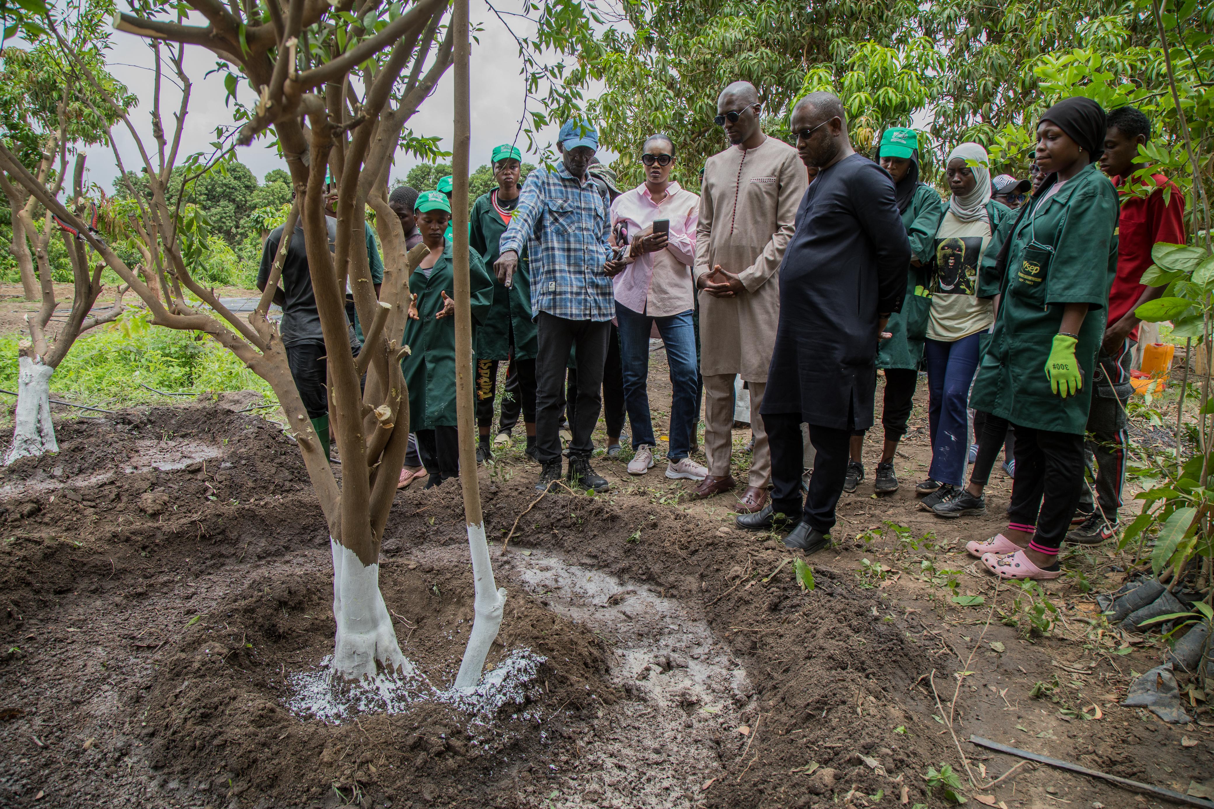 Visite exploitations agrégées à Pout: Le Dg de l’APIX Adoube la souveraineté alimentaire (Photos)