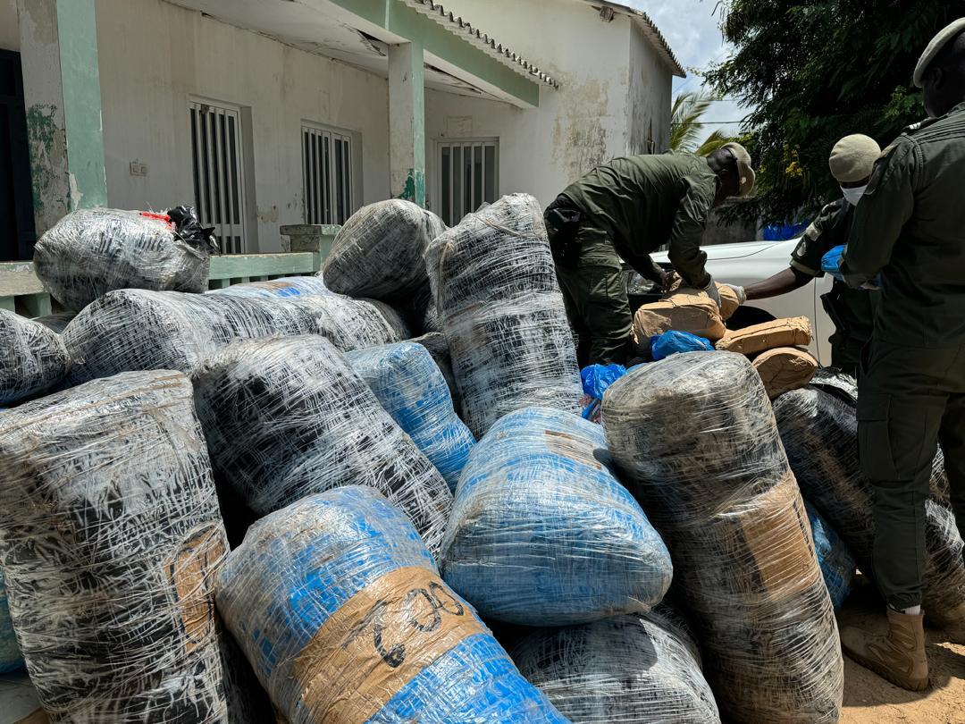 Djifère: 845 kg de chanvre indien saisis par la Brigade fluviomaritime des Douanes de Fimela (Photos)