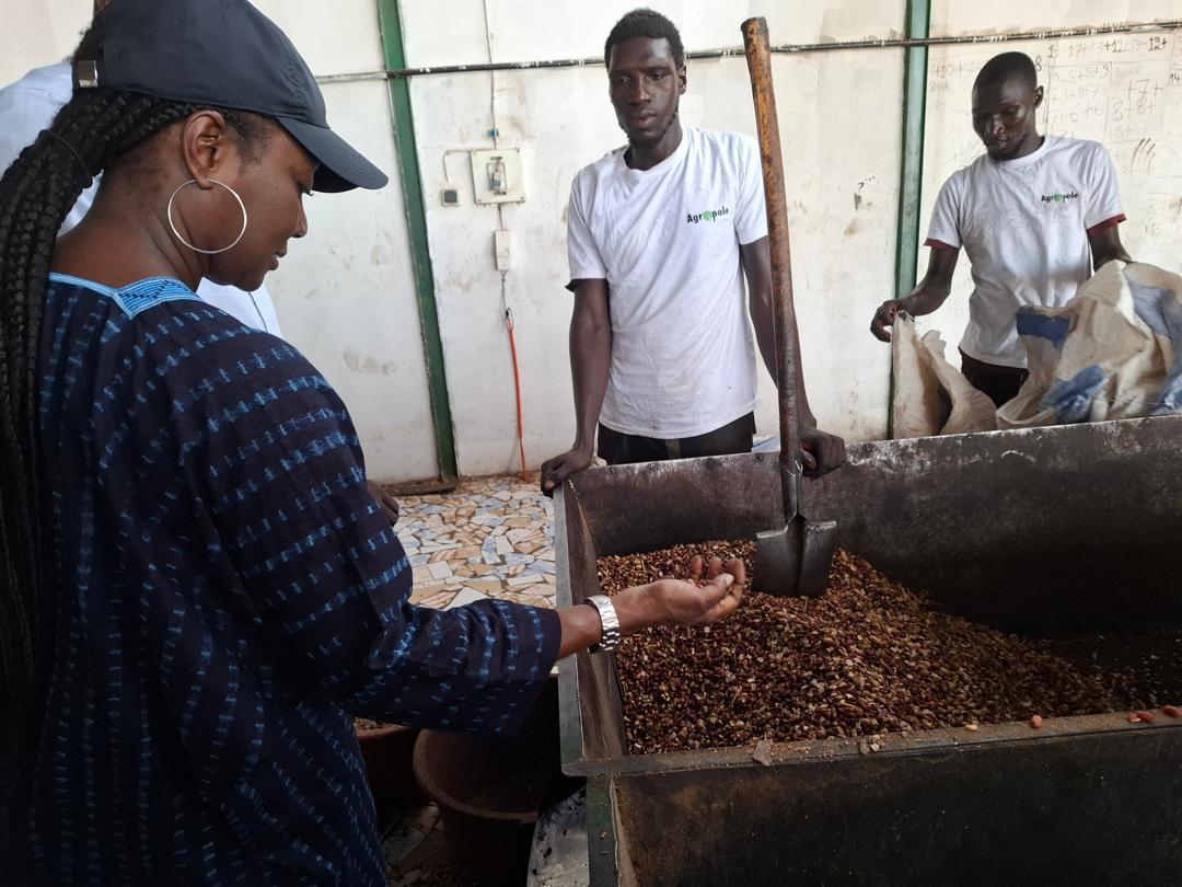 Photos / En tournée dans la zone Centre : Mme Aïssatou Ndiaye, nouveau Coordonnateur national du PNDAS, à la rencontre des acteurs des filières prioritaires du Projet Agropole Centre