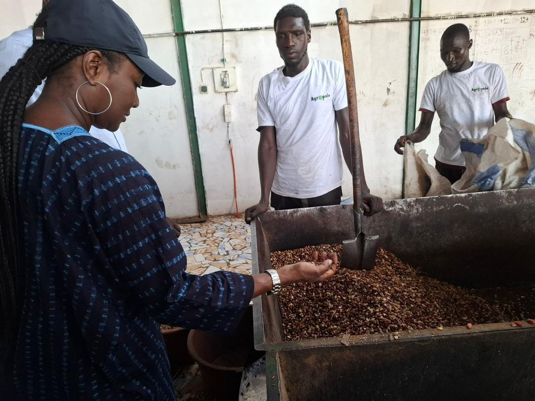 Photos / En tournée dans la zone Centre : Mme Aïssatou Ndiaye, nouveau Coordonnateur national du PNDAS, à la rencontre des acteurs des filières prioritaires du Projet Agropole Centre