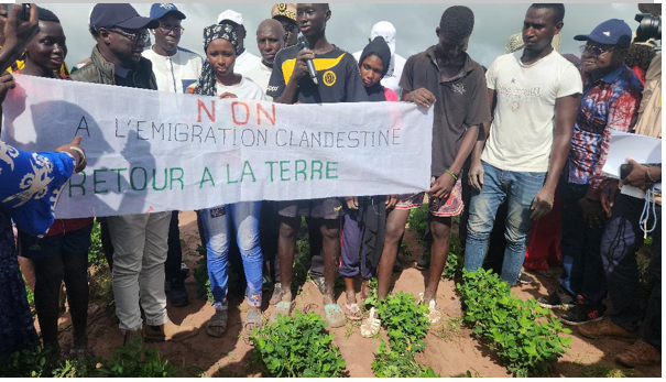 Sédhiou / Visite du ministre de l’Agriculture, de la Souveraineté alimentaire et de l’Elevage : Mabouba Diagne invite les paysans à élaborer leur plan d’affaires