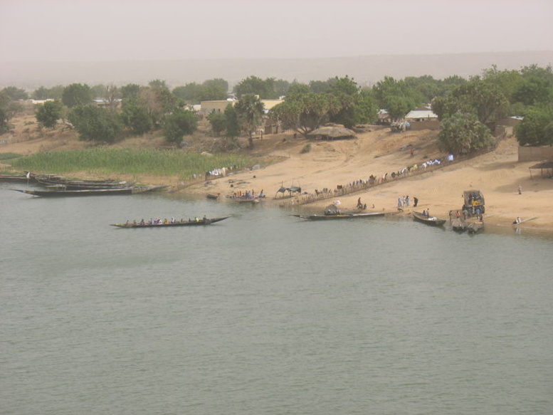 Montée du fleuve Sénégal à Podor : le désarroi chez les maraîchers, la joie chez les pêcheurs