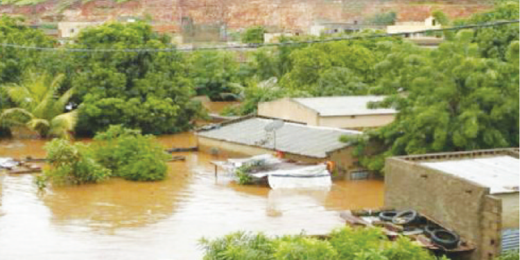 PODOR-MATAM: Les cours d’eau envahissent maisons et cultures - Les populations appellent au secours